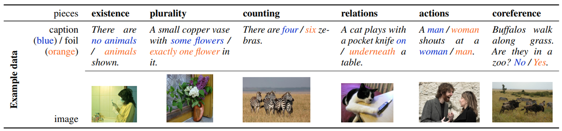 VALSE data examples